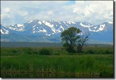 the mountains are covered with snow in the distance, and there is a small tree in the foreground