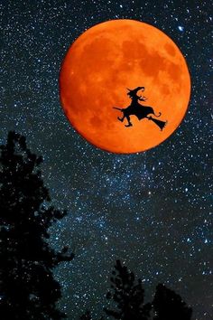 a full moon with a silhouette of a witch flying in the sky over trees and stars