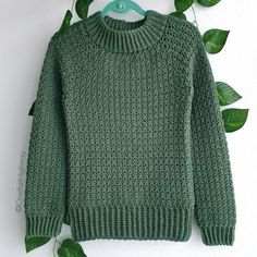 a green sweater hanging on a clothes hanger next to some leafy plants and a white wall