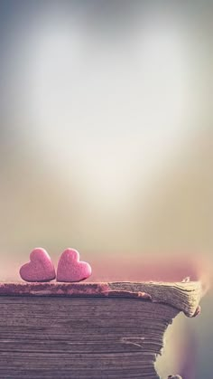 two pink hearts sitting on top of an open book with water in the background and sky