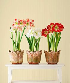 three vases filled with flowers sitting on top of a white table next to a wall