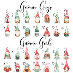 gnome figurines are shown in different colors and sizes, with numbers on them