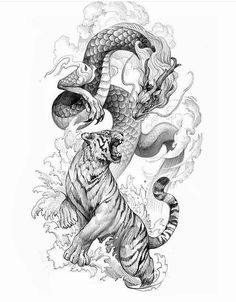 Tiger Dragon Tattoo, Dragon Tiger Tattoo, Tigre Y Dragon, White Tiger Tattoo, Tiger And Dragon, Dragon Tattoo Drawing, Tiger Dragon, Dragon Tattoo Art, Favorite Tattoos