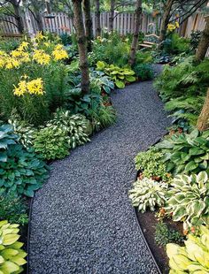 a garden with lots of plants and gravel