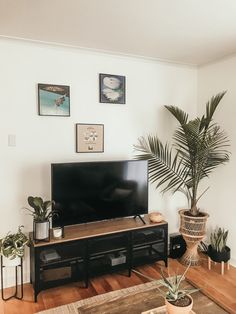 a flat screen tv sitting on top of a wooden stand in a living room next to a potted plant