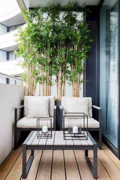 two white chairs sitting next to each other on top of a wooden floor covered in plants