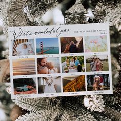 an ornament hanging from a christmas tree with pictures of people and animals on it