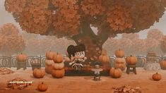 a cartoon character sitting at a table in front of a tree with lots of pumpkins