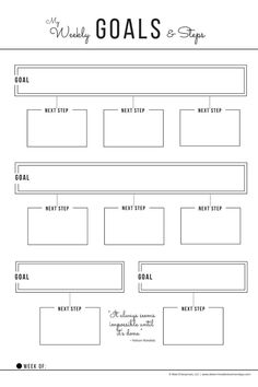 the goal sheet is shown in black and white