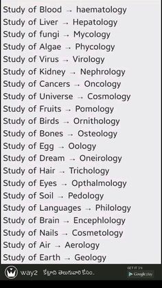 a table with some words on it and an image of the text that says study of blood