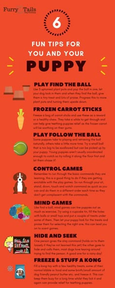 an orange poster with the words fun tips for you and your puppy