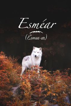 an animal standing on top of a lush green field next to trees and bushes with the words esmear emee - at above it