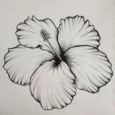 a black and white drawing of a flower