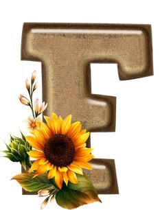 the letter e is made up of sand with a sunflower and leaves on it