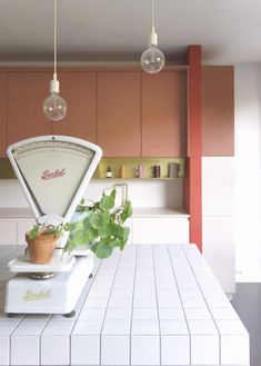 a kitchen with an old fashioned blender on the counter and some plants growing out of it