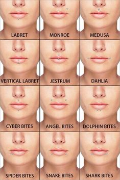 an image of different types of lips and their corresponding names on the same page, which includes