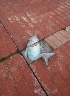 a drawing of a shark is on the ground next to a brick wall and sidewalk