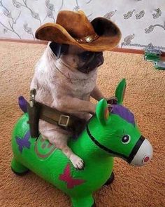 a pug dog sitting on top of a green toy horse wearing a cowboy hat