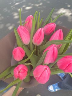 a bouquet of pink tulips sitting on top of a person's lap