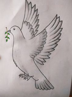 a drawing of a dove with an olive branch in its beak