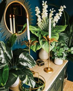 some plants and candles on a table with a mirror in the corner next to them