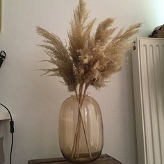 a vase filled with dry grass sitting on top of a wooden table next to a radiator