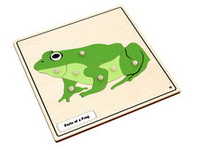 a wooden puzzle with a green frog on it's side and white dots in the middle