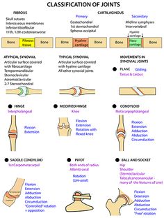 Instant Anatomy - Upper Limb - Joints - Classification Anatomy Of The Body, Joints Anatomy, Medical Terminology Study, Basic Anatomy, Nursing School Motivation