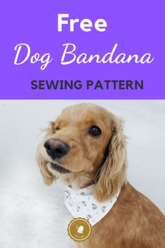 a brown dog wearing a bandana with the words free dog bandana sewing pattern