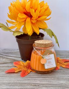 a jar of pumpkin spice next to a potted sunflower