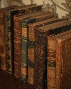 old books are lined up on a shelf