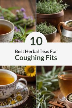 the top 10 best teas for coughing filts in various cups and saucers