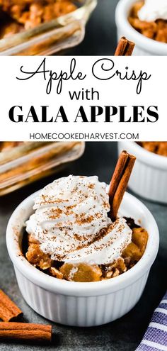 apple crispy with gala apples in a white bowl and cinnamon sticks on the side