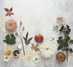 an arrangement of flowers, fruit and leaves on a white background