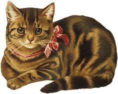 a drawing of a cat with a bow around its neck sitting down on the ground