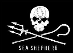 the logo for sea shepherd with a skull and two crossed swords in front of it