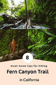 the fern canyon trail in california with text that reads 8 must - know tips for hiking