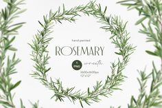 the rosemary logo is surrounded by green leaves