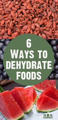 watermelon, blueberries and other fruits with the words 6 ways to dehydraate foods