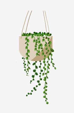 a hanging planter filled with green plants