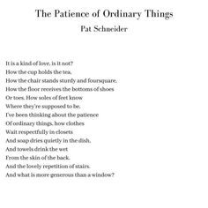 the pattern of ordinary things by pat schnader