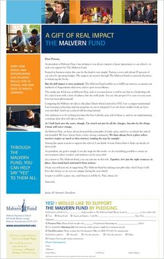 the maven fund's gift of real impact brochure