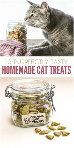 a cat sitting in front of a glass jar filled with catsnip treats and the caption reads 15 purrecty tasty homemade cat treats