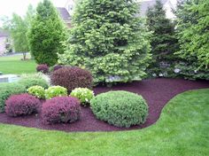 a garden with various types of shrubs and trees