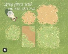 an overhead view of a patch of grass with flowers on it