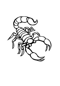 a black and white drawing of a scorpion