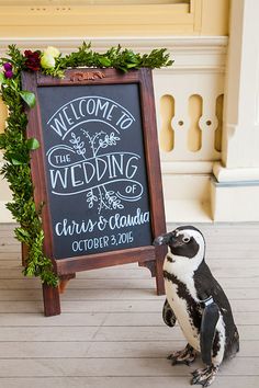 a penguin is standing next to a sign