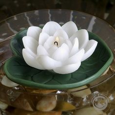 Our waterlily candles are simply stunning, and are sure to bring charm into your garden pond or pool. This unique candle is our original design that we have been making for many years. It is lovely for birdbath, pool or pond.   The 6" wide lily pad offers stability in the water as the interior part of the flower candle burns and glows for a romantic scene. They make a dramatic centerpiece for indoor tables as well. Candle centerpiece tips:      The center of the flower is the area that will burn Floating Votive Candles, Floating Pool Candles, Floating Flower Candles, Pool Candles, Japanese Party, Candle Factory, Garden Party Theme, Princesa Tiana, Quinceanera Themes