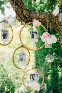 a tree with pictures hanging from it's branches and some flowers on the branch