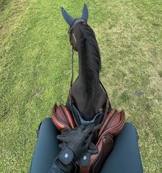 a black horse with saddles on it's back sitting in the middle of a field